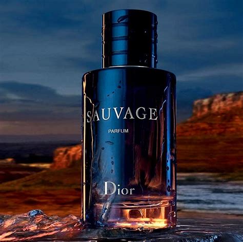 ähnlicher duft wie dior sauvage|Dior Sauvage perfume alternative.